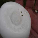 It hailed a little here this morning...