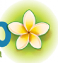 Mahalo Follow