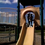 Pedro at the park