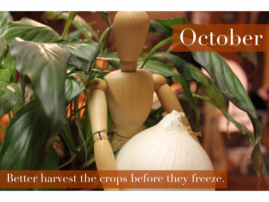 10 - October