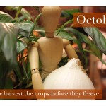 2010 Calendar - October