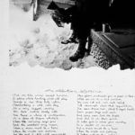 An Aleutian Latrine
