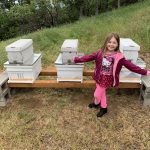 I've Got Bees!